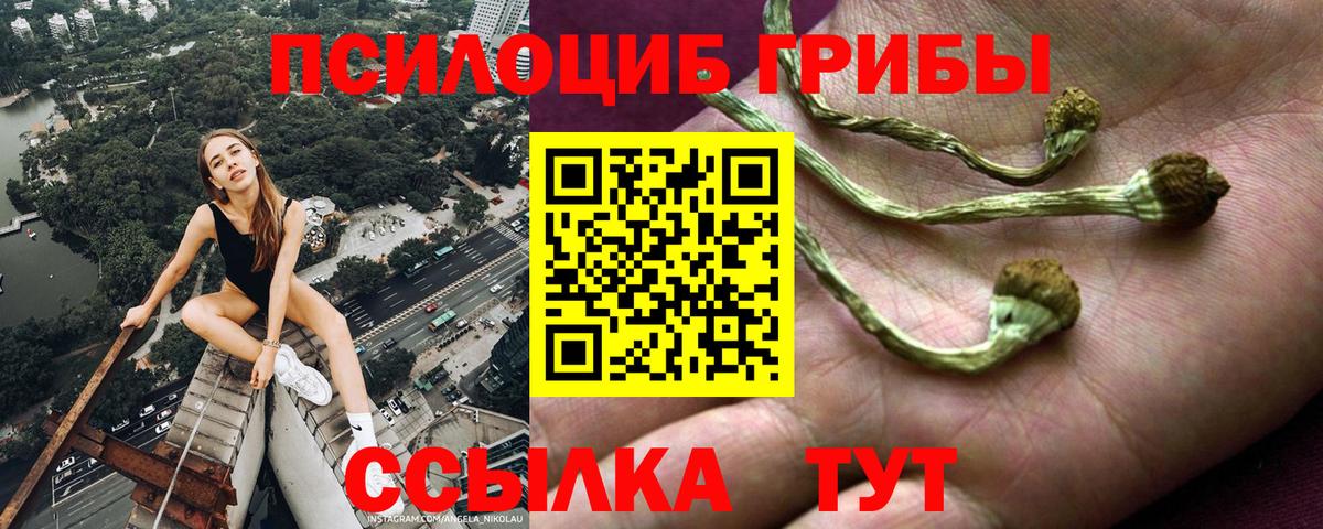 Галлюциногенные грибы Psilocybe  Вход с VPN  Галлюциногенные грибы Psilocybe  Карпинск 